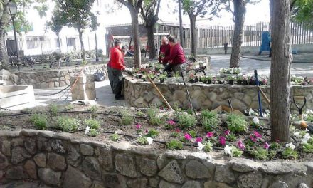 El cosistorio de Moraleja cierra el parque Félix Rodríguez de la Fuente para la eliminación de plagas