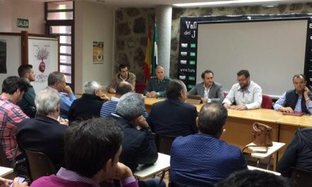 Los alcaldes de los municipios del Valle del Jerte muestran preocupación por la venta ilegal de cerezas