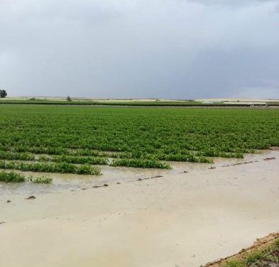 UPA alerta a los agricultores de que la situación puede empeorar por la previsión de tormentas en la región