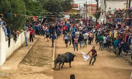Puebla de Argeme pone fin a sus fiestas patronales con tres personas heridas en los festejos taurinos