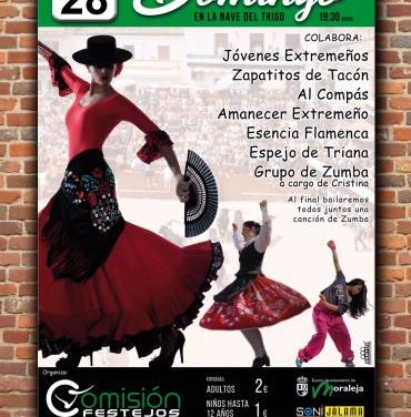 La Comisión de Festejos de San Buenaventura recaudará fondos este domingo con una gala de bailes