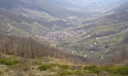 El Valle del Jerte cuenta con una aplicación relacionada con el turismo para dispositivos móviles