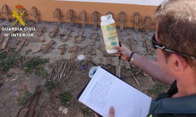 Detienen a tres personas por supuestamente envenenar a tres águilas y dos milanos en Trujillo y Sierra de San Pedro