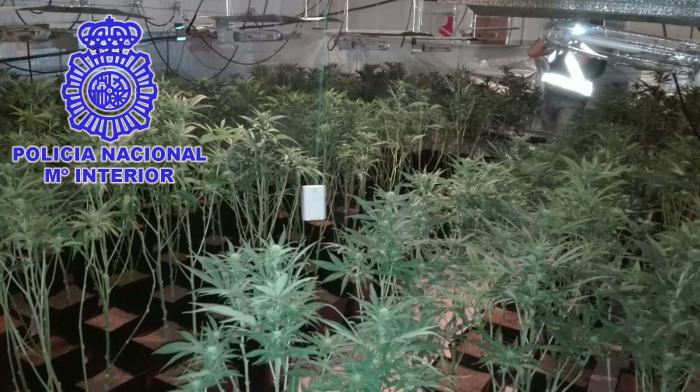 La Policía Nacional desmantela un punto de venta de marihuana en Malpartida de Plasencia