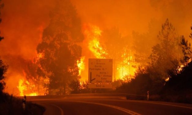Un incendio en Pedrogrão Grande se salda hasta el momento con 43 personas muertas y 59 heridas