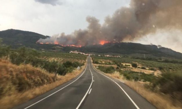 El Plan Infoex da por estabilizado el incendio que desde este lunes afecta a Villanueva de la Sierra
