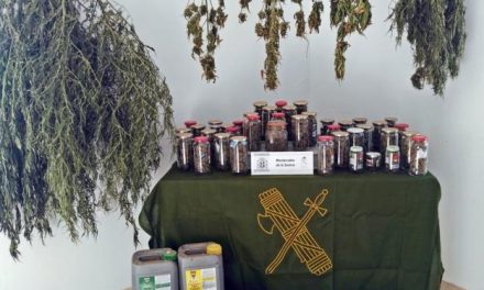 Desarticulan un punto de cultivo de marihuana en Monterrubio de la Serena y detienen a su dueño