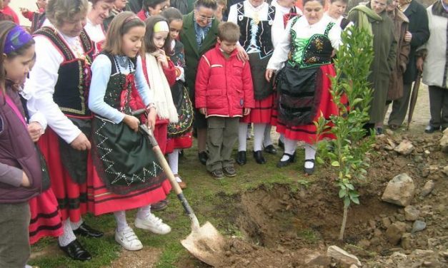 El Consejo de Gobierno acuerda nombrar la Fiesta del Árbol de Villanueva como Bien de Interés Cultural