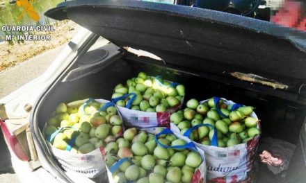 Sorprenden a tres miembros de una familia cuando acababan de robar 100 kilos de peras en Badajoz