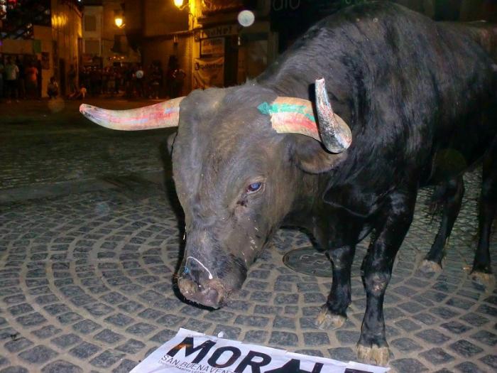 El segundo toro del aguardiente de San Buenaventura finaliza sin heridos