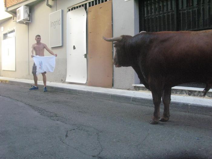 Numeroso público se da cita en la Plaza de Toros de Moraleja para disfrutar del último toro del aguardiente
