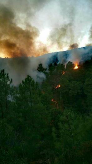 Un incendio forestal afecta a la zona de «La Tragulla» situada en el término municipal de Gata