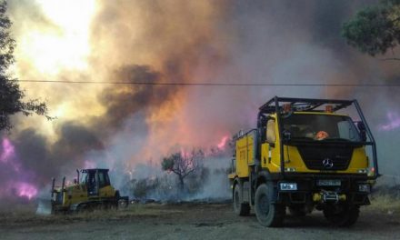 Varias dotaciones del Plan Infoex colaboran en la extinción del incendio de Vila Velha de Rodao