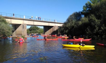 Más de 300 palistas procedentes de 50 localidades participan en el X  del Descenso del Río Alagón