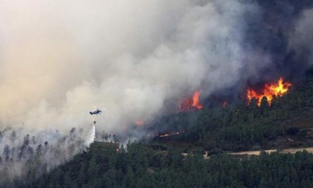 La elevadas temperaturas elevan a «muy alto» el riesgo de que se produzcan incendios en Extremadura