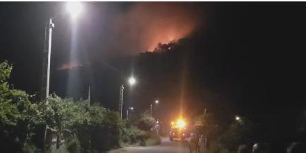 Un incendio afecta a una zona de pinos y robles próxima al Castillo de la Almenara de Gata