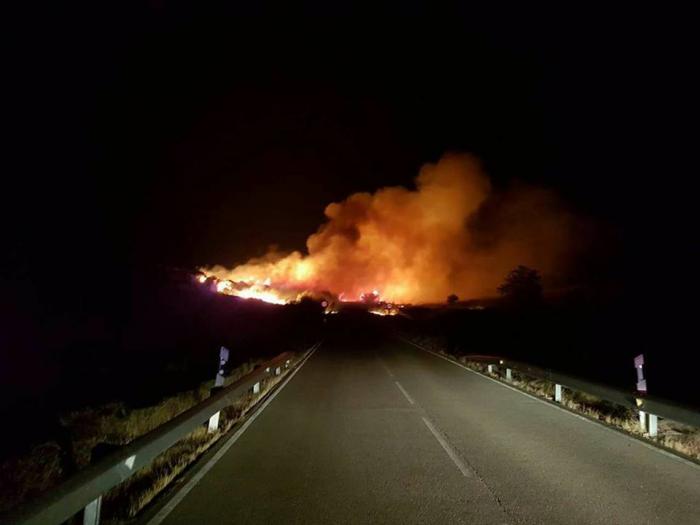 Un incendio de pastos, que ya está apagado, afecta a una finca del término municipal de Cilleros