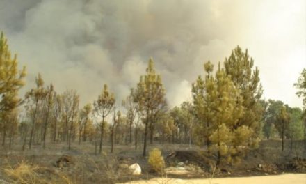 La Junta invertirá 1,3 millones de euros en la prevención de incendios en el Valle del Árrago
