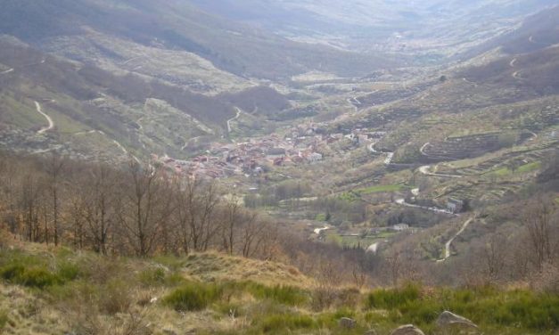 El Valle del Jerte contará con más de 130.000 euros para la prestación del servicio de atención social básica
