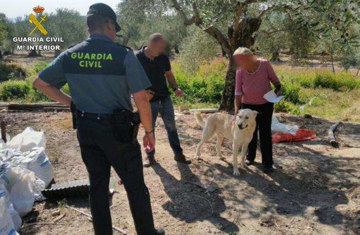 Detienen a cinco personas en la Sierra de Gata como implicados en una trama de robo de perros