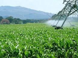 La Junta convocará en los próximos meses los incentivos agroindustriales por 30 millones de euros