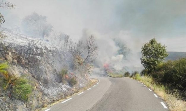 El INFOEX declara el nivel 1 de peligrosidad por un incendio en el municipio de Cabezabellosa