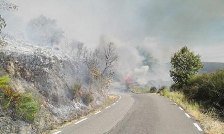 El Infoex estabiliza el incendio de Cabezabellosa y desactiva el nivel 1 de peligrosidad
