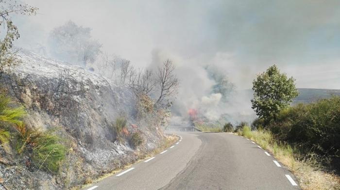 Medios terrestres continúan trabajando en la extinción del incendio declarado este sábado en Cabezabellosa