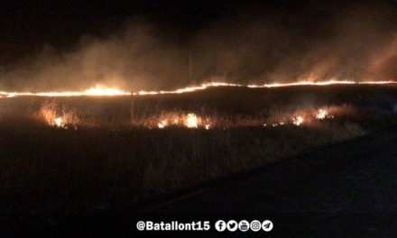 Un incendio registrado en la noche de este lunes afecta a una zona de pastos cercana a la Moheda de Gata
