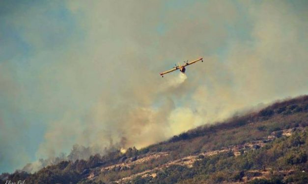 El incendio declarado este lunes en el municipio de Navaconcejo «está prácticamente controlado»