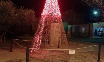 El vandalismo provoca desperfectos en los árboles luminosos instalados en Moraleja por la Navidad