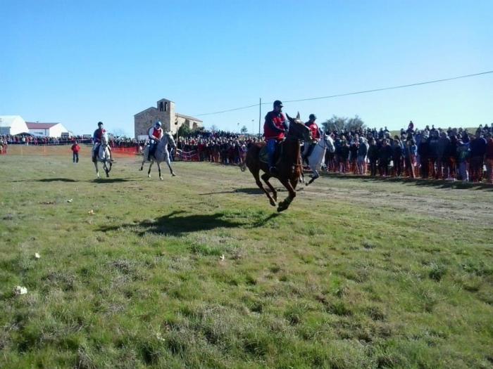 Una veintena de caballos se dará cita el próximo 3 de febrero en la XXXIV Carrera de Caballos de Toril