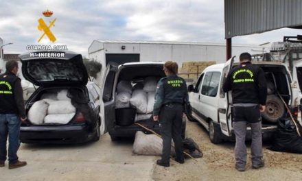 Detienen a seis ciudadanos rumanos por el robo de 12.500 kilos de aceitunas en la provincia de Badajoz