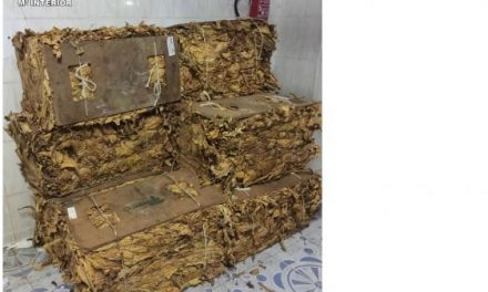 Detienen a un hombre por un supuesto delito de venta de hoja de tabaco en la comarca de La Vera