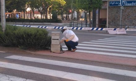 Moraleja pide que no se manipulen los enjambres de abejas que se puedan encontrar en la vía pública