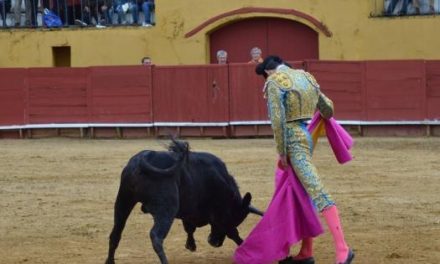 La novillada sin picadores con astados de Guadajira inaugurará los Festejos Mayores de Moraleja