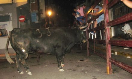El tercer toro del aguardiente de Moraleja hace las delicias de los aficionados y finaliza sin heridos