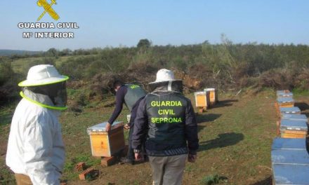 Detienen a un vecino de Caminomorisco por robar colmenas en explotaciones de Las Hurdes y Gata