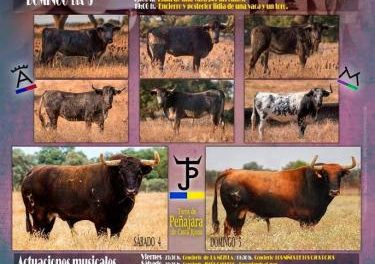 Porteje celebrará del 3 al 5 de agosto sus fiestas de verano con la lidia de seis vacas y dos toros