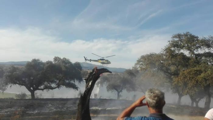 Medios del Plan Infoex sofocan un incendio registrado en la tarde de este viernes en El Borbollón