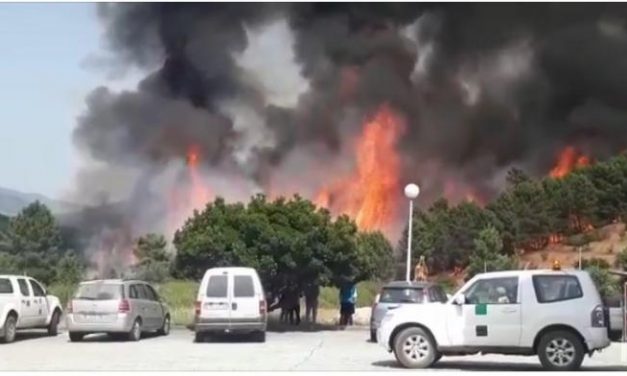 El Plan Infoex declara el nivel 1 de peligrosidad en el incendio forestal registrado en Pinofranqueado