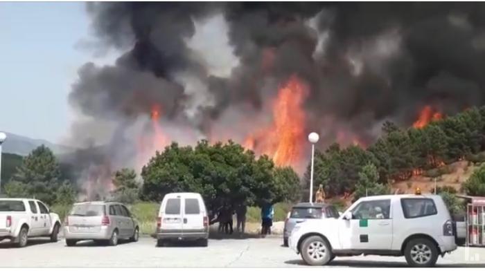 El Plan Infoex declara el nivel 1 de peligrosidad en el incendio forestal registrado en Pinofranqueado