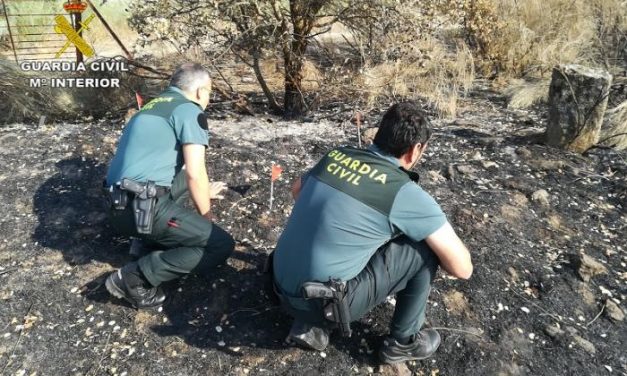 La Guardia Civil detiene al supuesto pirómano que provocó dos incendios en Torrejoncillo