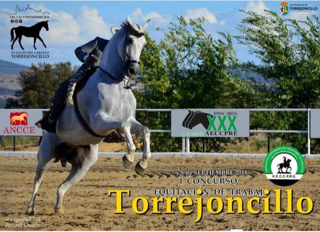 El Salón del Caballo de Torrejoncillo acogerá el I Concurso de Equitación de Trabajo de Extremadura