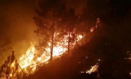 La alquería hurdana de La Fragosa registra un incendio forestal en la tarde de este lunes