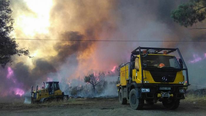 Bomberos Forestales denuncian incumplimiento de Decreto durante la Época de Peligro Alto de Incendios