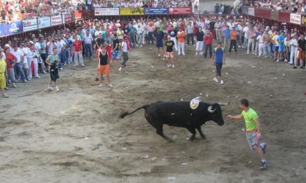 Las Fiestas del Toro de Coria enfrentan a las Nuevas Generaciones del PP con el ayuntamiento cauriense