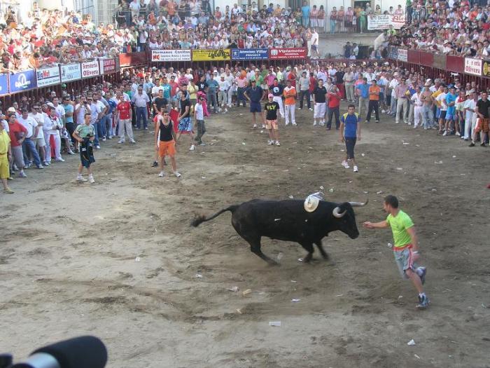Las Fiestas del Toro de Coria enfrentan a las Nuevas Generaciones del PP con el ayuntamiento cauriense