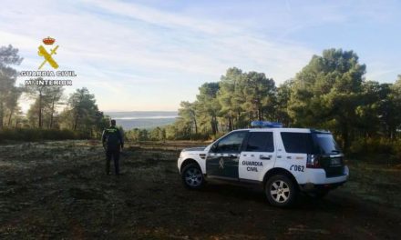 Rescatan a un hombre de 85 años perdido en un pinar de Granadilla cuando buscaba setas con su hijo