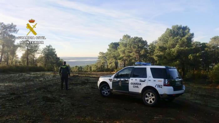 Rescatan a un hombre de 85 años perdido en un pinar de Granadilla cuando buscaba setas con su hijo